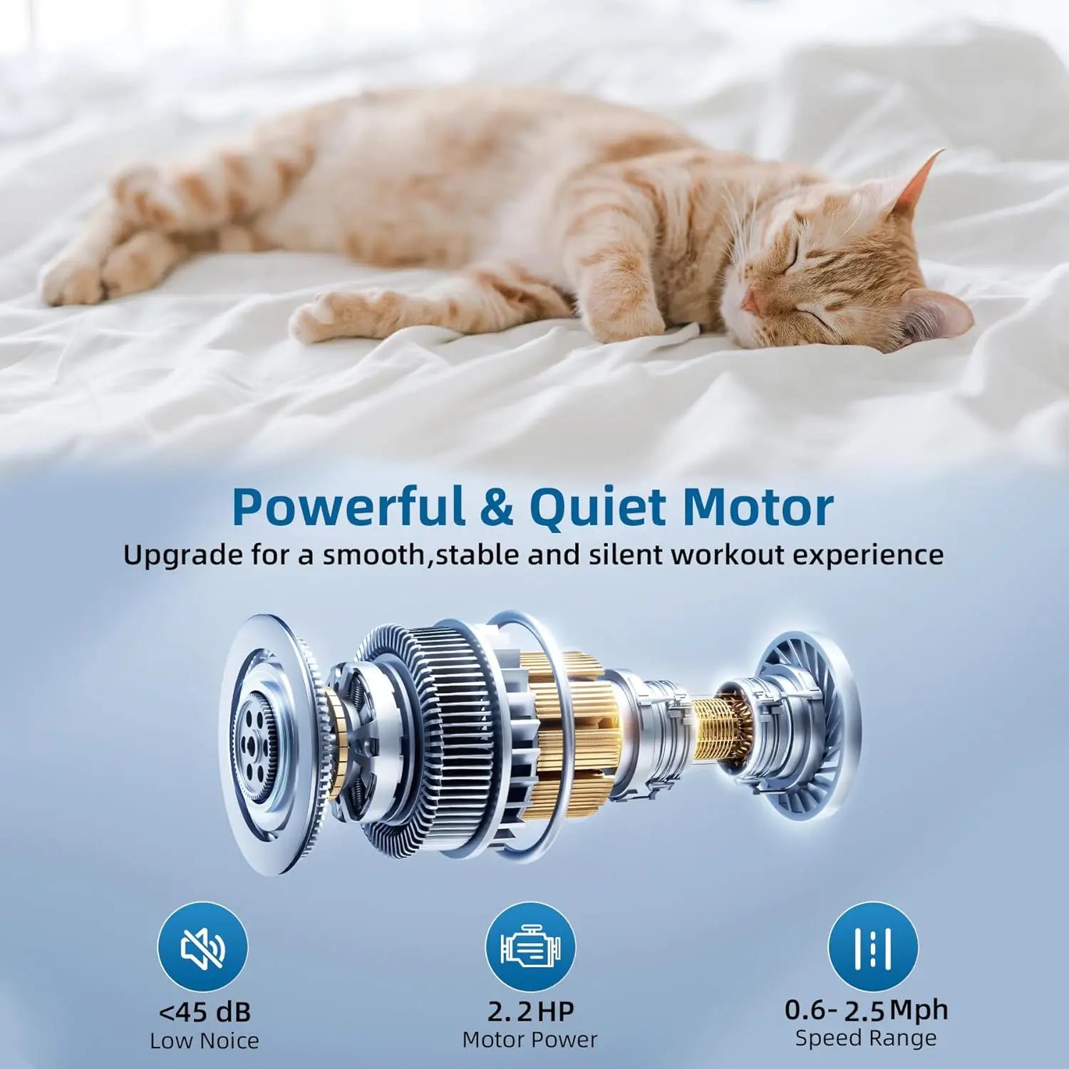 Tapis de marche portable