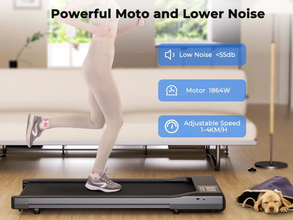 Tapis de course chien| Montapisdemarche